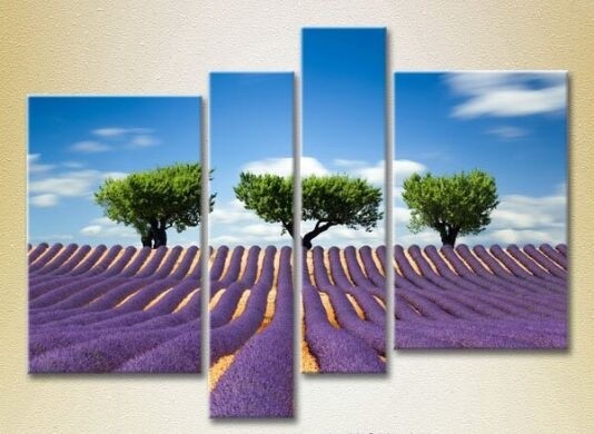 Картина Rainbow Polyptych Three trees in a lavender field (2223684)