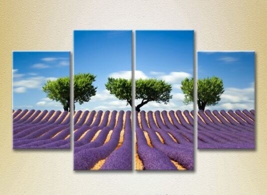 Pictură Rainbow Polyptych Three trees in a lavender field 01 (2223683)