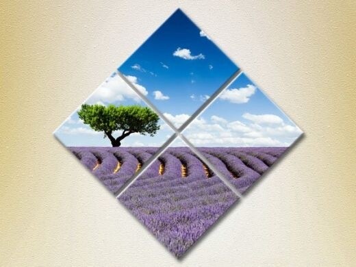 Картина Rainbow Polyptych Tree in a lavender field (2223666)