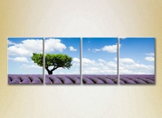 Картина Rainbow Polyptych Tree in a lavender field 03 (2223669)
