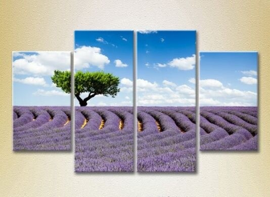 Pictură Rainbow Polyptych Tree in a lavender field 04 (2223685)