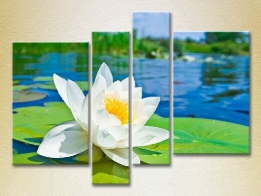 Картина Rainbow Polyptych Water Lily 01 (2932306)