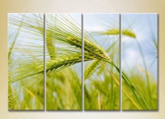 Pictură Rainbow Polyptych Wheat Ears 01 (2932293)