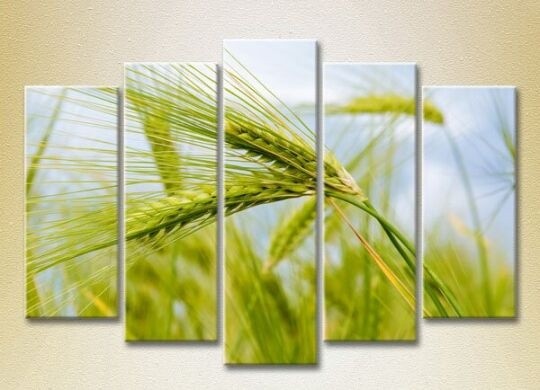 Pictură Rainbow Polyptych Wheat Ears 03 (2932821)