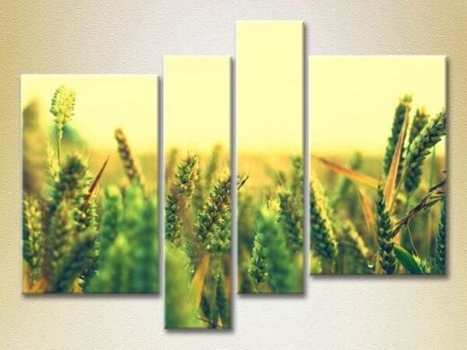 Картина Rainbow Polyptych Wheat Field 02 (2932341)