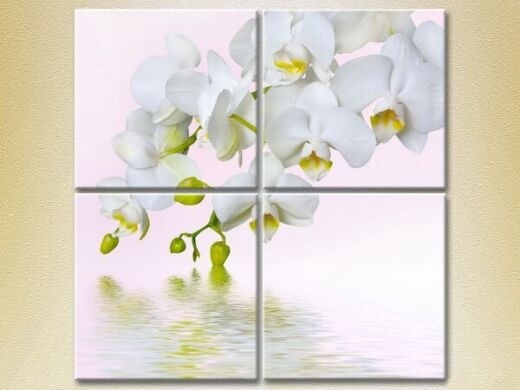 Картина Rainbow Polyptych White Orchid (2932374)