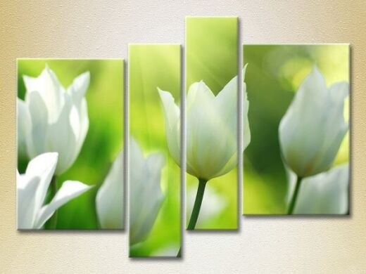 Картина Rainbow Polyptych White tulips (2932267)