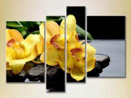 Картина Rainbow Polyptych Yellow orchids on stones (2932283)