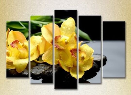 Картина Rainbow Polyptych Yellow Orchids on Stones 03 (2932817)