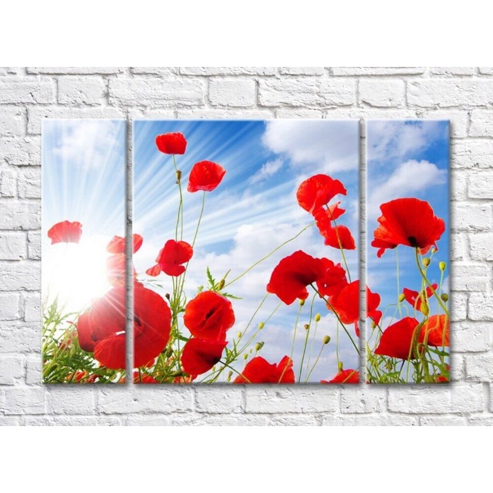 Pictură Rainbow Poppy flowers in sunbeams on a sky background (500445)