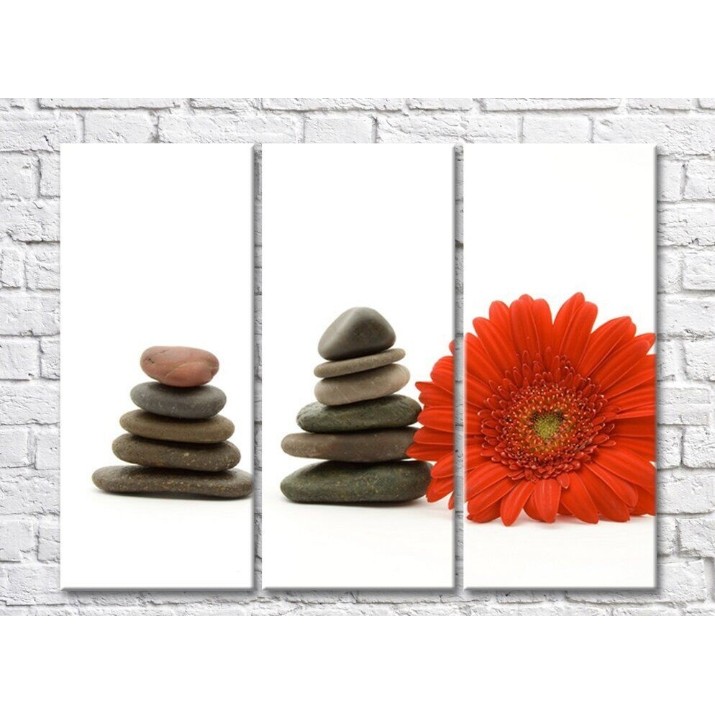 Pictură Rainbow Red gerbera and flat stones on white background (500334)