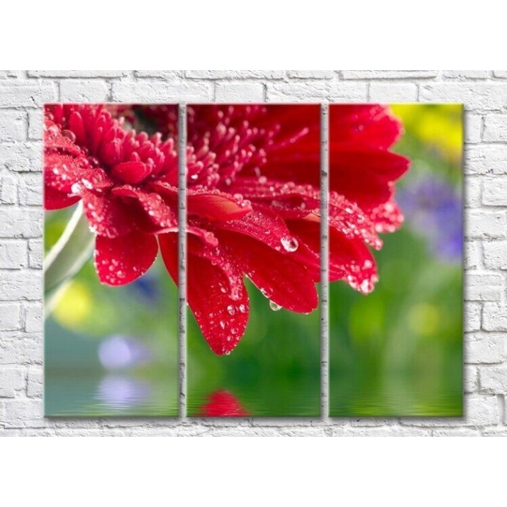 Pictură Rainbow Red gerbera with dew drops on a colorful background (3448932)