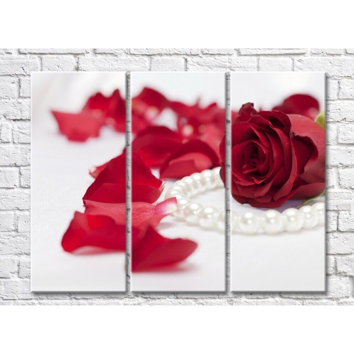 Pictură Rainbow Red rose, petals and a string of white pearls (500337)