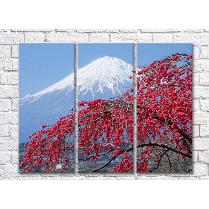 Pictură Rainbow Sakura tree on the background of Mount Fuji (500272)