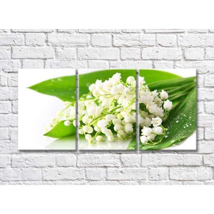 Картина Rainbow Small lily of the valley flowers on green leaves (500450)