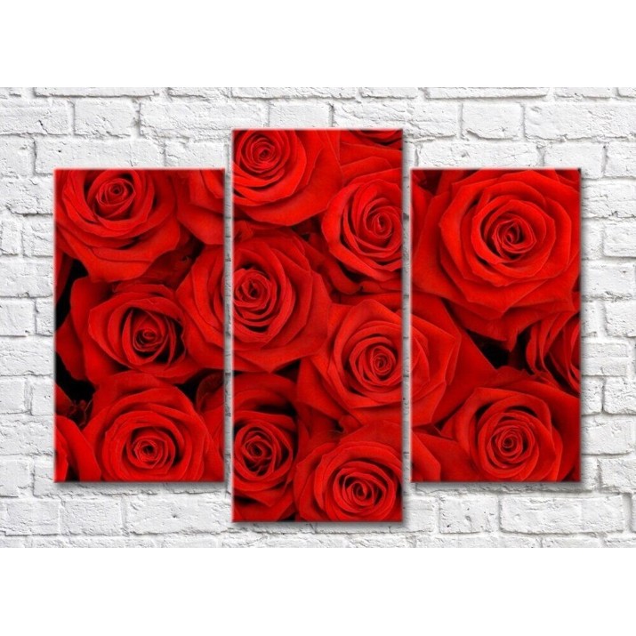 Pictură Rainbow Triptych of red roses (500698)