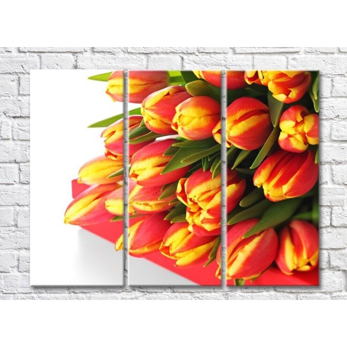 Картина Rainbow Variegated yellow orange tulip flowers (500517)