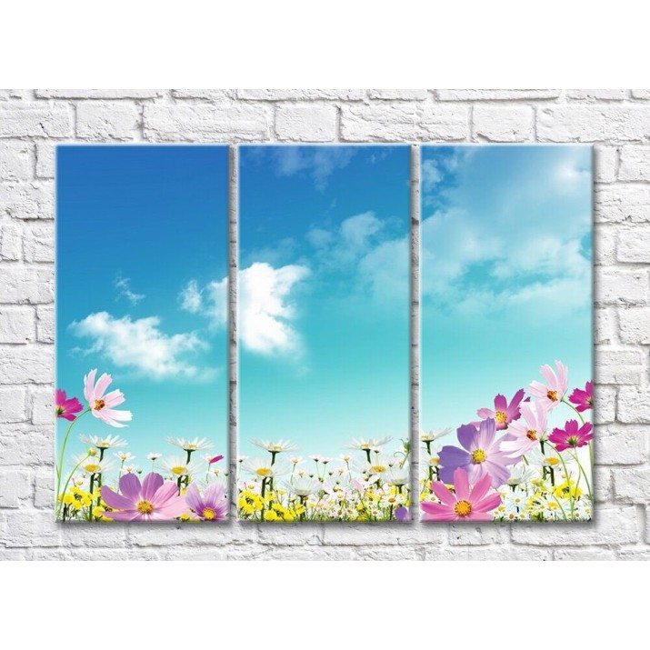 Pictură Rainbow Wildflowers against the blue sky (500532)