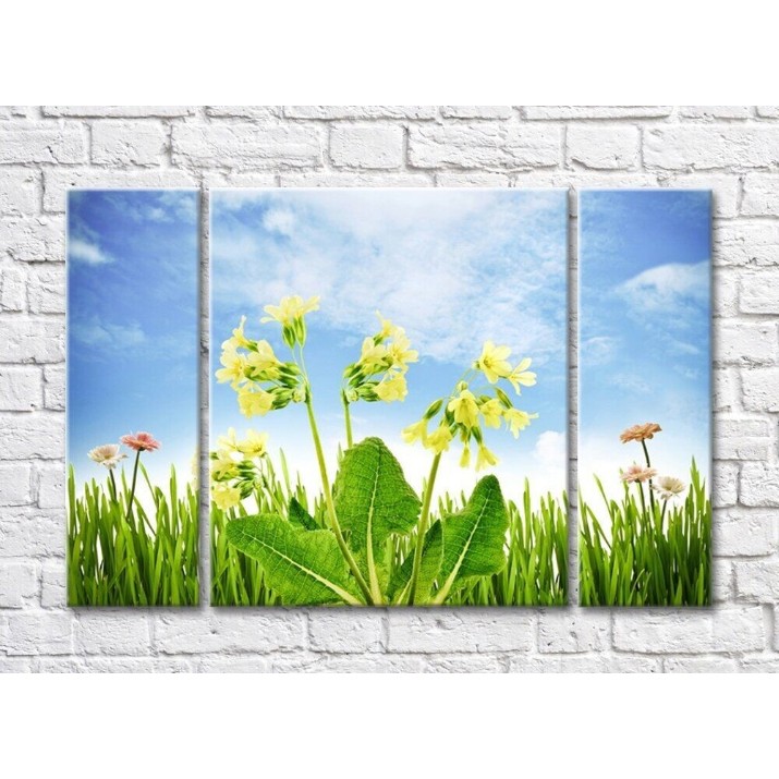 Pictură Rainbow Wildflowers against the sky (500534)