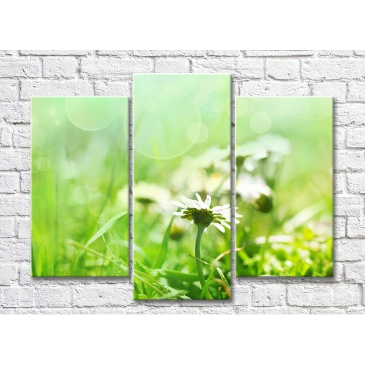 Pictură Rainbow Wildflowers on a green background (500531)