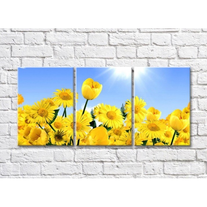 Картина Rainbow Yellow daisies and tulips on a blue sunny sky background (500291)