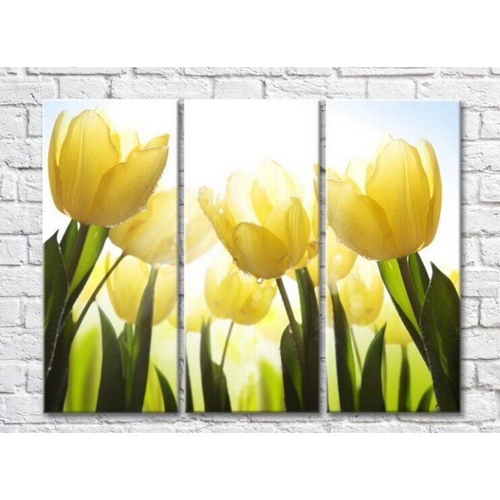 Pictură Rainbow Yellow tulips with dew drops (3448889)