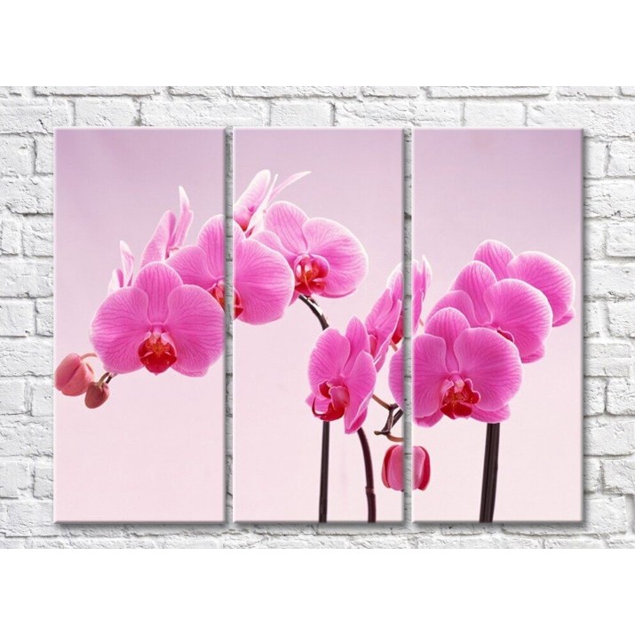 Картина Gallerix Lush twigs of pink orchids (500544)