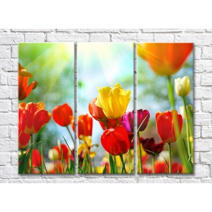 Картина Gallerix Multicolored tulips in the sun (500561)