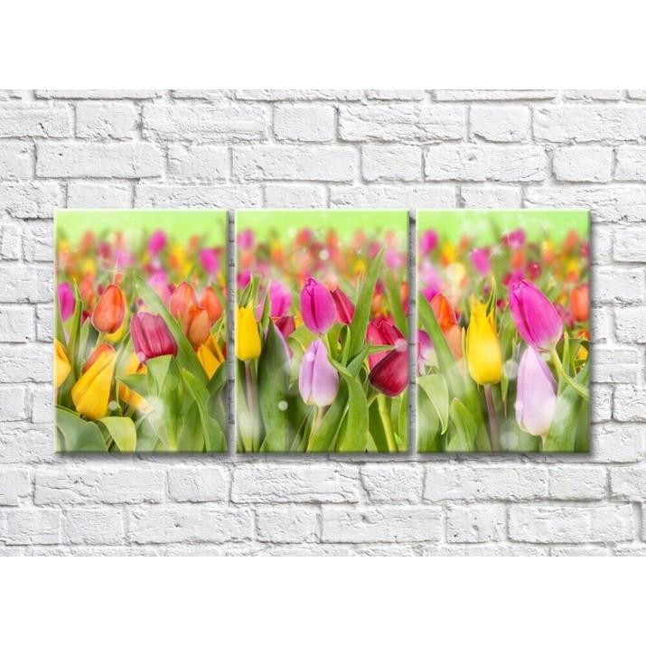 Pictură Gallerix Multicolored tulips on a green background (500562)