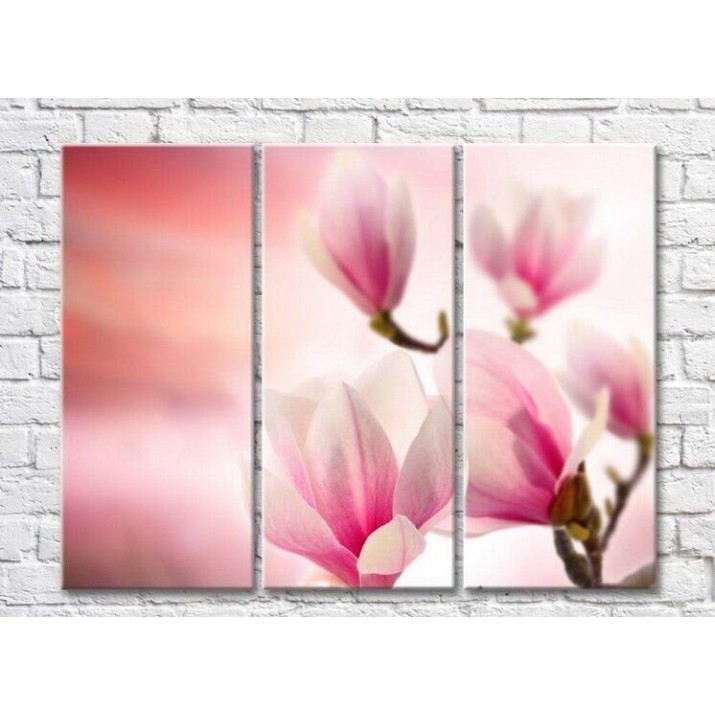 Pictură Gallerix Pink magnolia on a pink background (3448911)