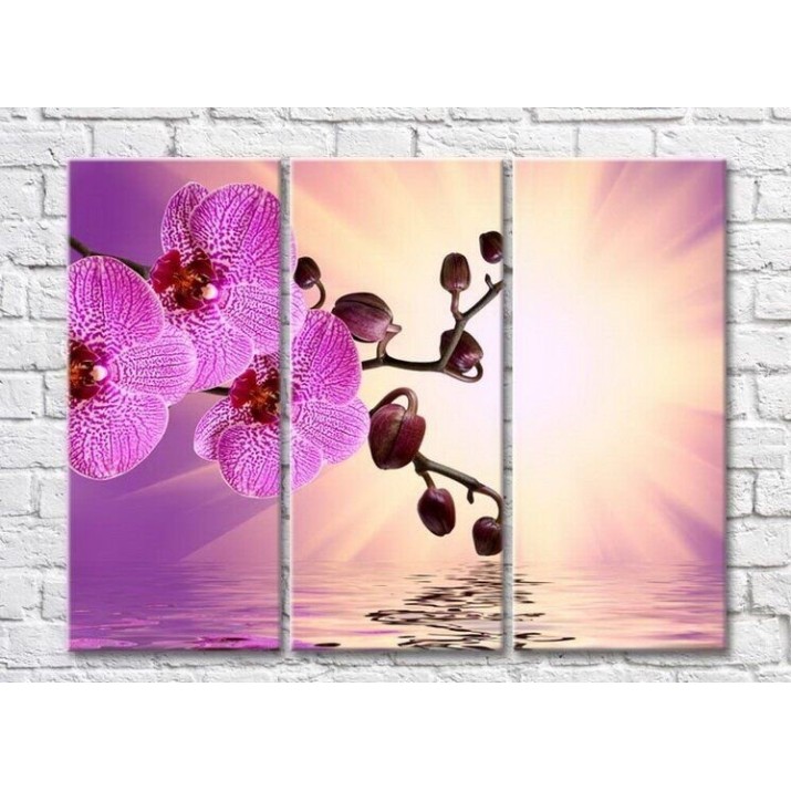 Pictură Gallerix Pink orchid at dawn by the water (3448912)