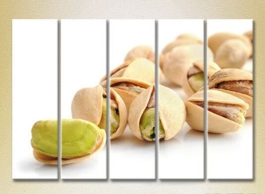Картина Gallerix Polyptych Pistachio close up 02 (2224612)