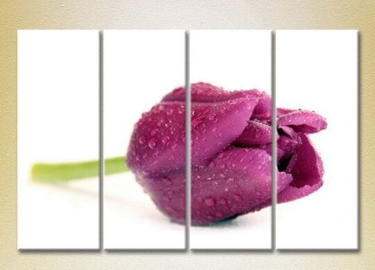 Pictură Gallerix Polyptych Purple Tulip (2932378)