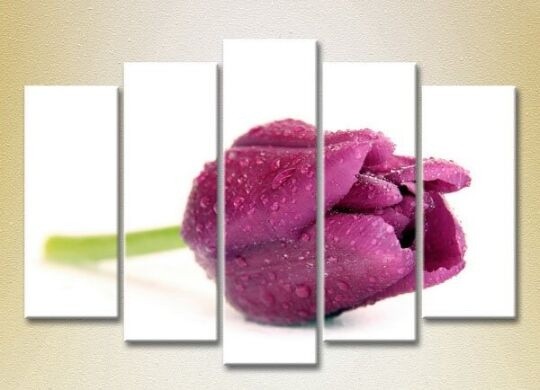 Pictură Gallerix Polyptych Purple Tulip 03 (2932890)