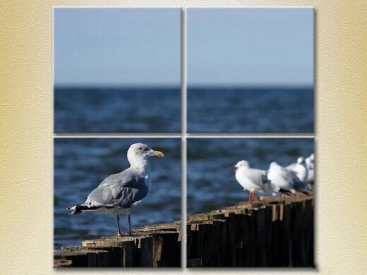 Картина Gallerix Polyptych Seagulls in Crimea 01 (2223436)