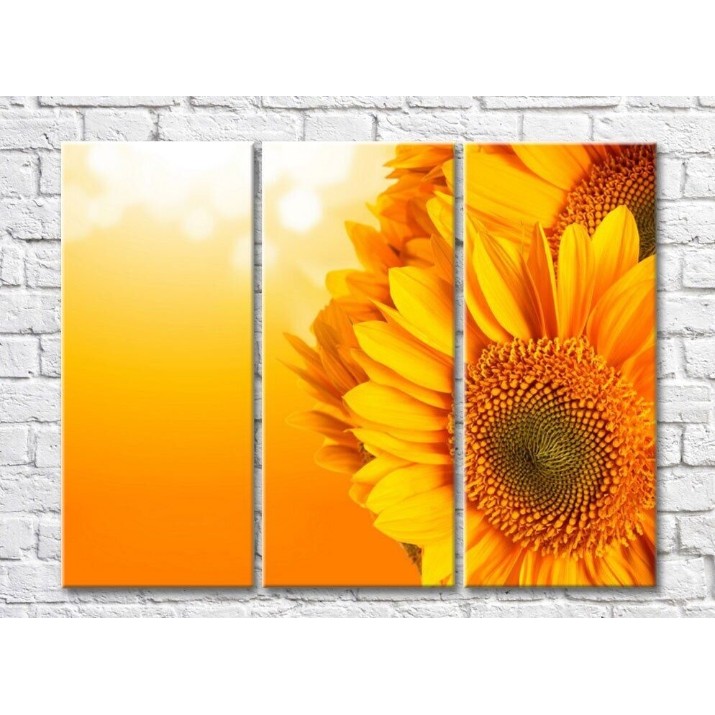 Картина Gallerix Sunflower flowers on an orange background (500772)