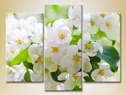 Картина Gallerix Triptych Apple Blossom 01 (2699454)