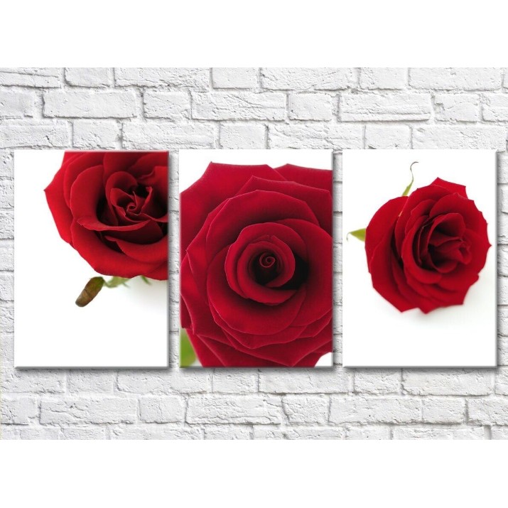 Pictură Gallerix Triptych of flowers of red roses (500720)