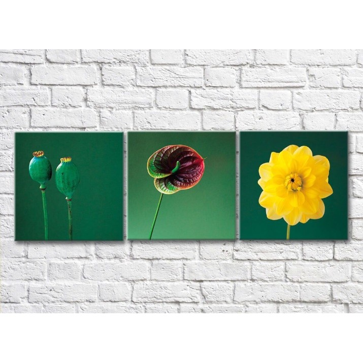 Картина Gallerix Triptych of flowers on an emerald background (500721)