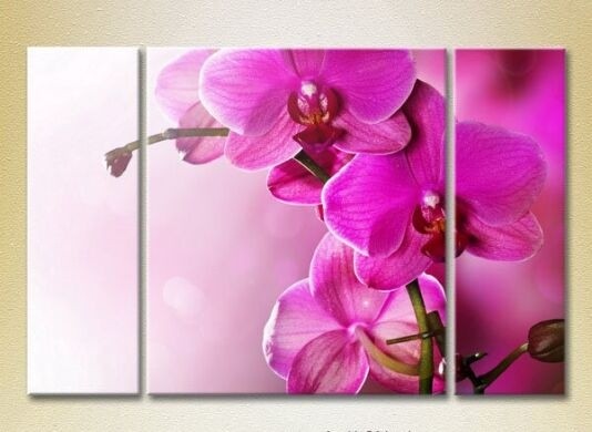 Картина Gallerix Triptych Purple Orchids (2699544)