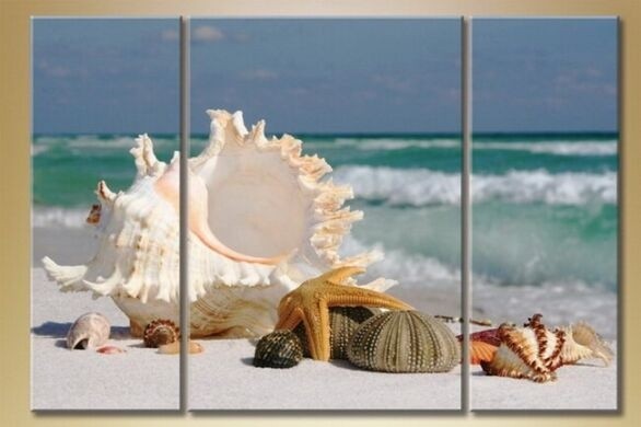 Картина Gallerix Triptych seashells (1529831)