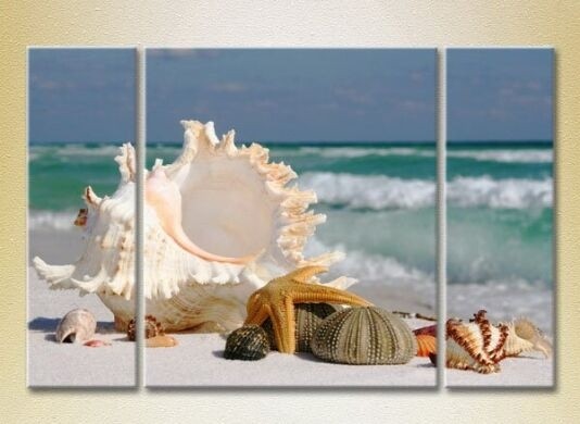 Картина Gallerix Triptych Seashells (2180939)
