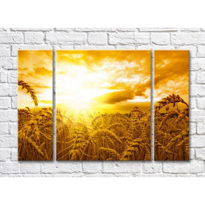Картина Gallerix Wheat field at sunset (500541)