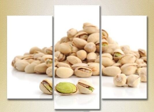 Картина Magic Color Triptych Pistachios (2698729)