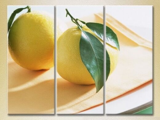 Картина Magic Color Triptych Two Lemons (2698628)