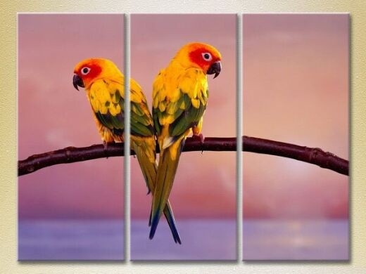 Pictură Magic Color Triptych Two Parrots (2698973)