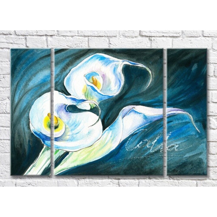 Pictură Magic Color White calla lilies on a Turquoise background (3572546)