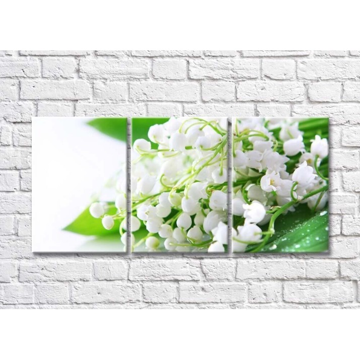 Картина Magic Color White lily of the valley flowers on Green leaves with dew (500084)