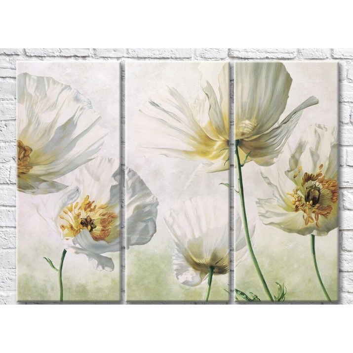 Pictură Magic Color White poppies on a light background (3572500)