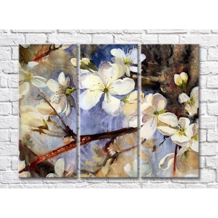 Pictură Magic Color White Sakura flowers on the background of branches-drawing (500089)